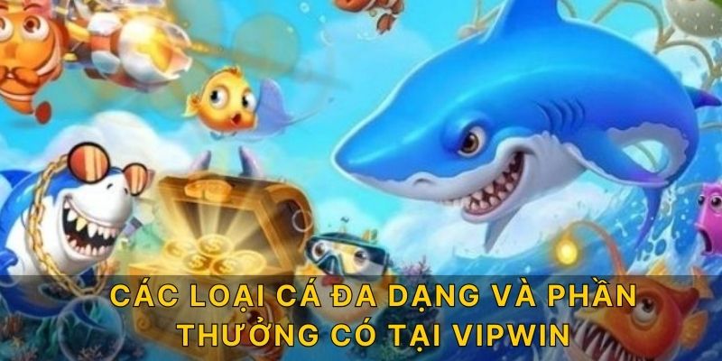 Các loại cá đa dạng và phần thưởng có tại Vipwin