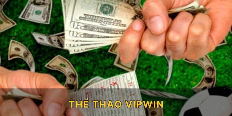 Thể Thao Vipwin