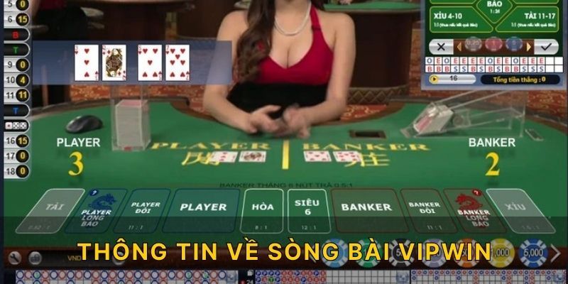 Thông tin về sòng bài VIPWIN